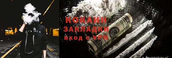 молекула духа Кулебаки